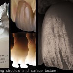 The-supporting-structure-and-surface-texture-1