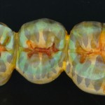 smaniotto-ricerca-02.jpg