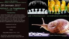 primo-modulo-corso-2017-laboratorio-smaniotto-paolo