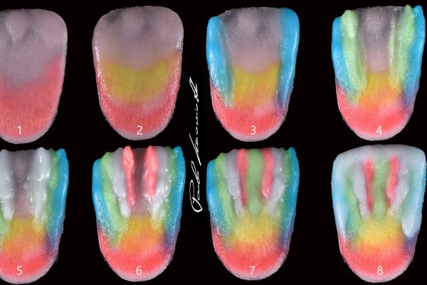 Laboratorio Smaniotto11