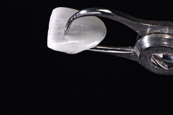 Laboratorio Smaniotto15