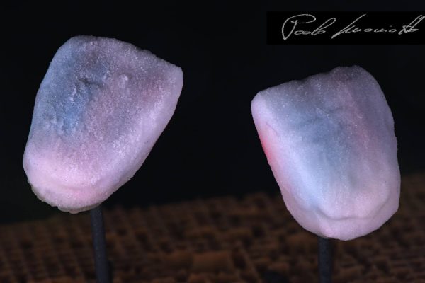 Laboratorio Odontoiatrico Smaniotto047